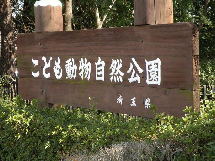 埼玉県こども動物自然公園